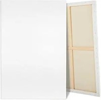 Large Canvas For Painting, 2 Pack 30x40 White