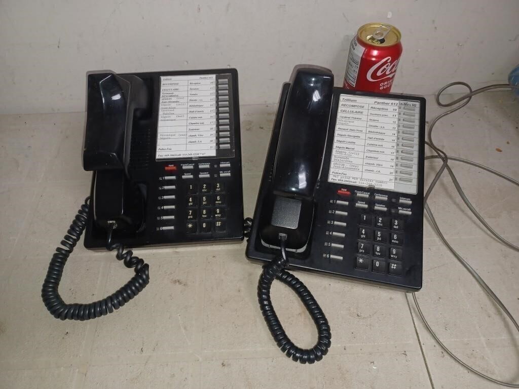 2 Téléphones professionnel