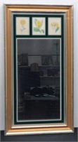 Wall Mirror With 3 Old Original Botanical Prints