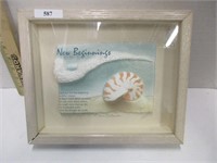 New beginnings Nautilus shell picture
