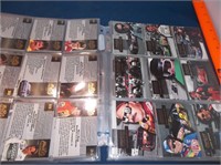Racing Card 1-100 Collection- 1994
