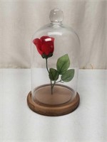 Single Rose Flower Under Glass Dome Jar