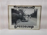 Newfoundland Speed Bump Moose Picture