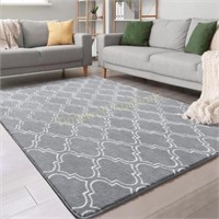 Chicrug Shag 4x6ft Memory Foam Carpet  Grey
