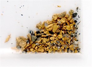 GOLD NUGGETS - 3.0 GRAMS TOTAL WT