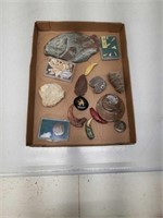 Fossils, Teeth, Aroowhead++