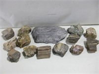 Petrified Wood Pieces W/Stone See Info