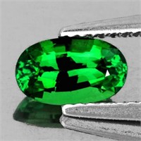 Natural Emerald Green Tsavorite Garnet 1.04 Cts -