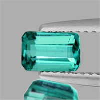 Natural Green Blue Apatite [Flawless-VVS]