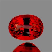 Natural Red Orange Spessartite Garnet [IF-VVS]