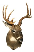 Deer Head with 10 Point Rack