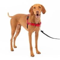 PetSafe Easy Walk Harness, Medium, RED/BLACK for
