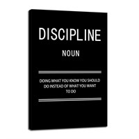 Motivational Posters Discipline Noun