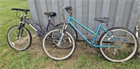 2 girls bicycles