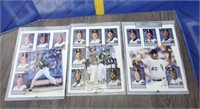 Pictures of 1996 Chicago White Sox Team
