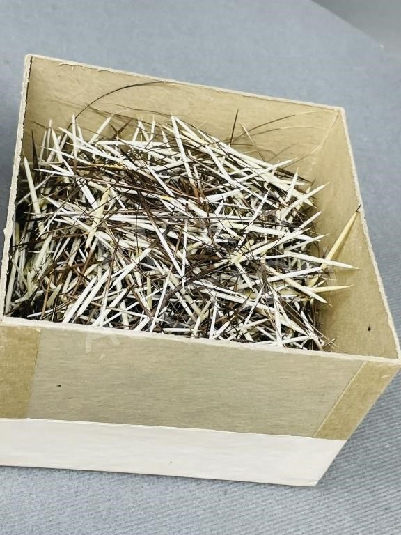 box of Porcupine quills - 2 3/4" x 4 1/4"