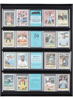 MCS COLLECTOR CARD 16 X 20 WALL DISPLAY, HOLDS 20