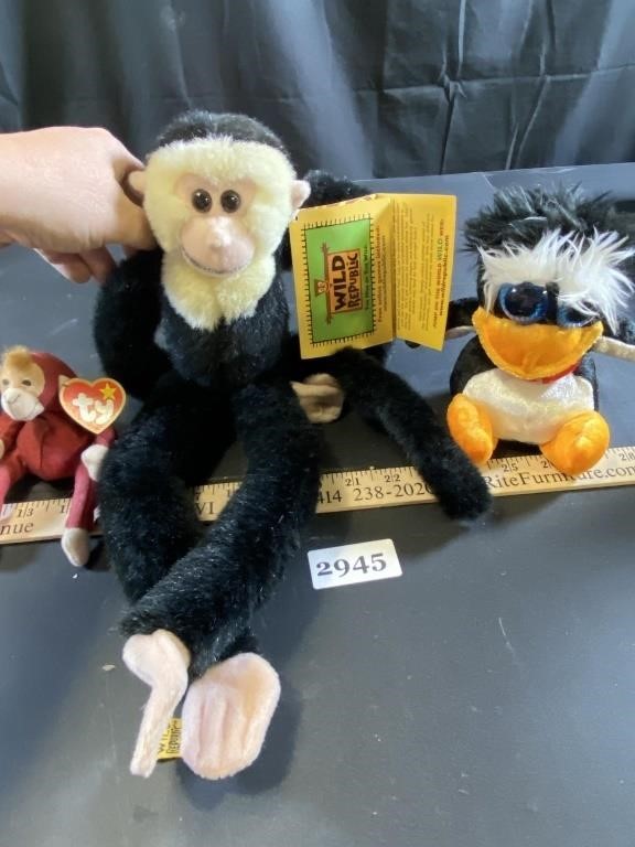Stuffed Monkey, Dog & More