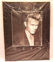1990 James Dean Poster 22" x 28"