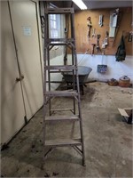 Werner aluminum 6ft ladder