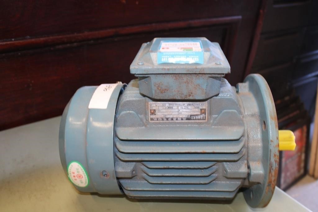 Electric Motor / New