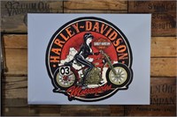 Harley Davidson Hand painted