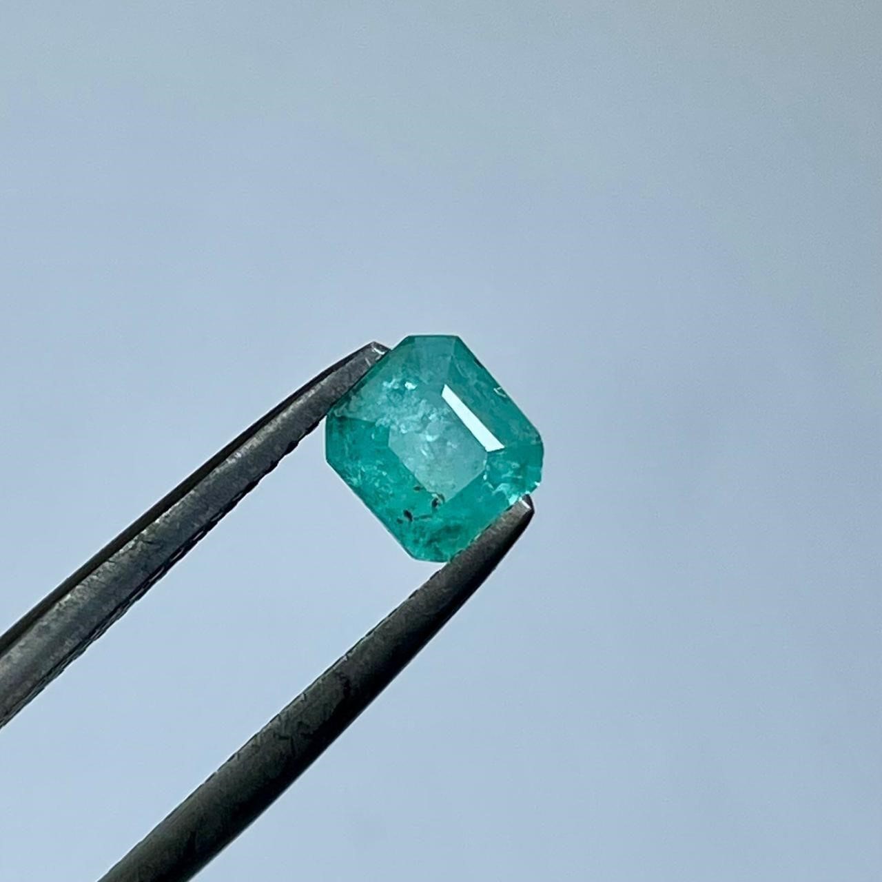 0.90 Carat Rare Emerald Gemstone
