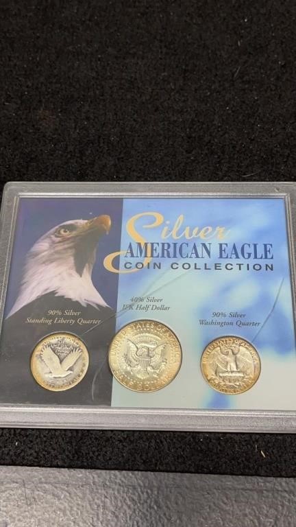Silver American Eagle Coin Collection In Hard Case