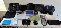 Purses and Misc. Bags, Lot 1