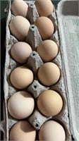 Dozen farm fresh eggs. Free range. Local.