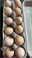 Dozen farm fresh eggs. Free range. Local.