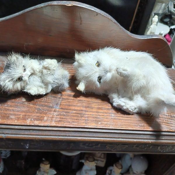 Pair of Stuffed Cats-Looks Real!
