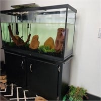 55 Gallon Aquarium w/ Stand & Accessories