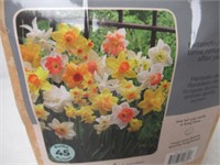 45-Pk Tasc Narcissus Long-Lasting Assorted Bulbs