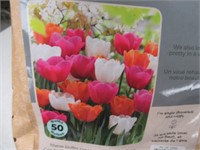 50-Pk Tasc Tulipa Triumph Assorted