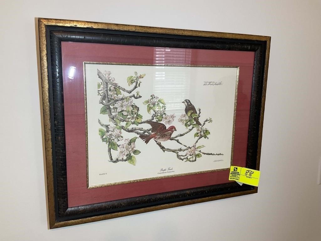 FRAMED FINISHED PRINT TITLED PURPLE FINCH BY SALLI