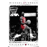 "As Is" Michael Jordan Chicago Bulls 24.25'' X
