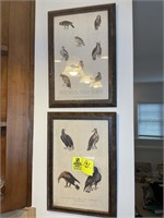 PAIR OF FRAMED OWL AND EAGLE WALL PRINTS 11IN X 16