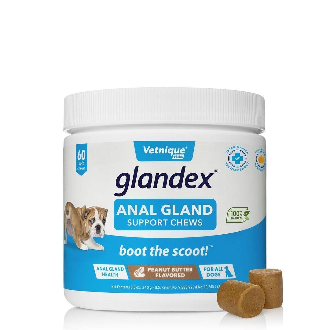 Glandex Anal Gland Supplement for Dogs with