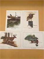 Set Of Scott Hiestand Wildlife Art Prints