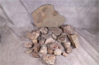 Box of Rocks, including a Unique Fossil in Matrix