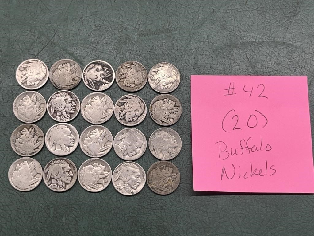(20) Buffalo Nickels