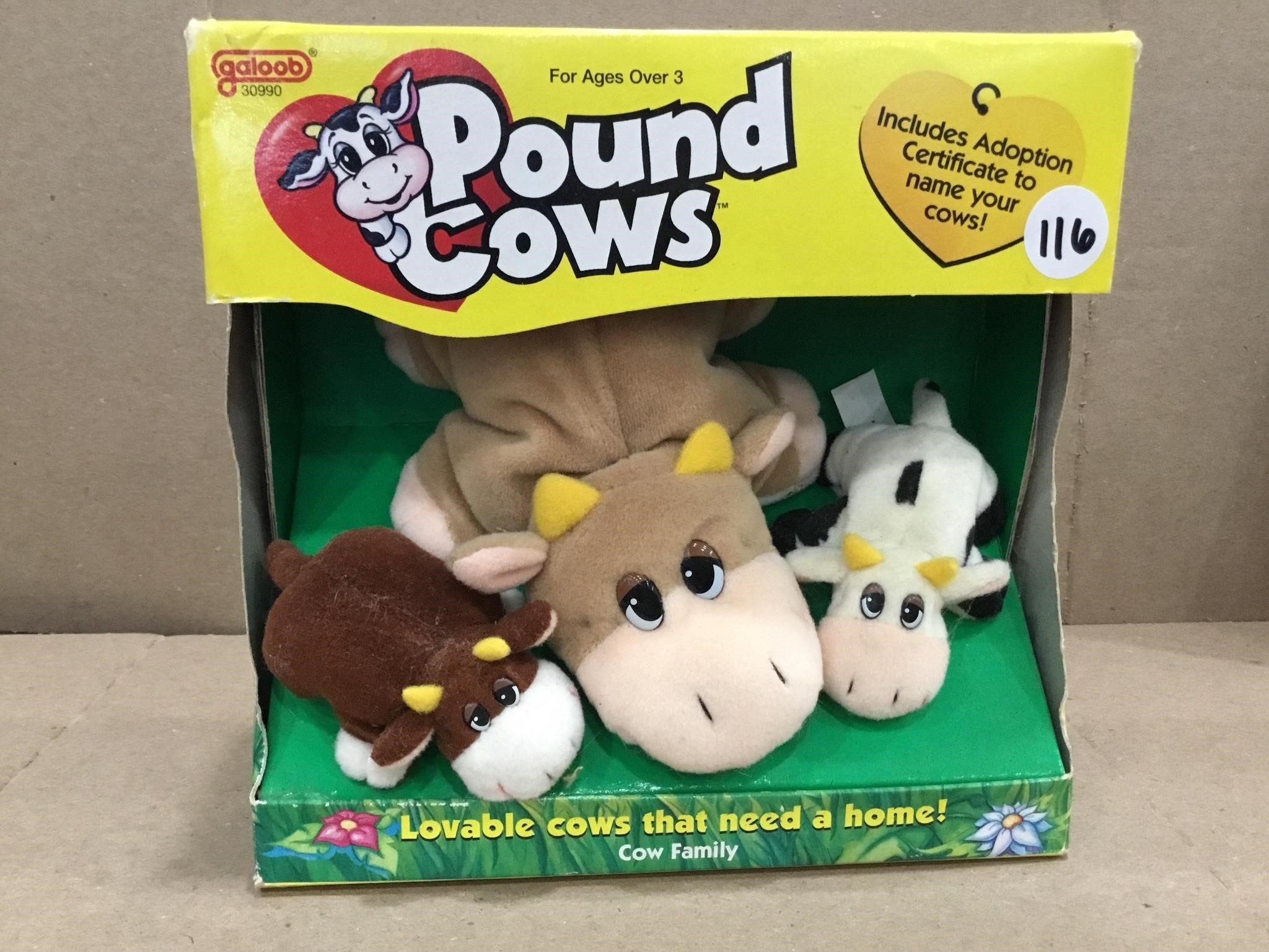 1998 Pound Cows- Cow Family