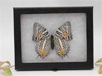 GOLD FLOWER BUTTERFLY DISPLAY VINTAGE