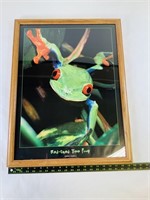 Red Eyed Tree Frog Print