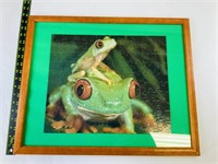 Framed Tree Frog Puzzle