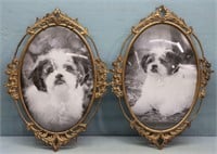 (2) Dog Photos in Ornate Frames