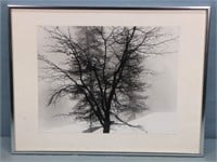 WERLING, Bob "Tree in Snow" Photograph