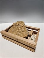 Crate with Fossil Rocks