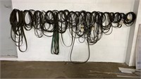 Belts hanging on wall